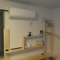 トライアル最終準備