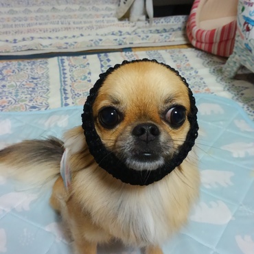 の写真