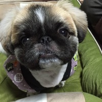 茶太朗