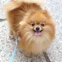 みお