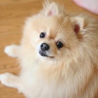 なお
