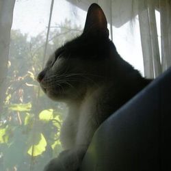 「いろいろごたごた」サムネイル1