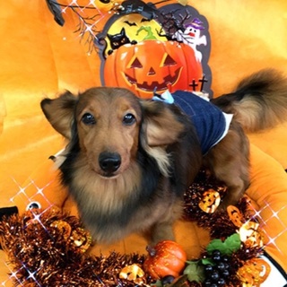 たくさんの申込ありがとうございました！