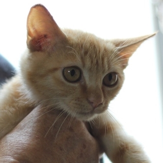 おっとり穏やかな男の子です！