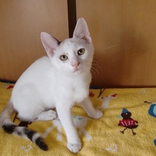 優しい女の子♡ウユ