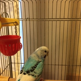 ありがとうございました。