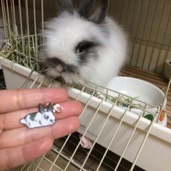 「だんだん慣れてきた？」サムネイル2