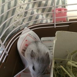 「だんだん慣れてきた？」サムネイル3