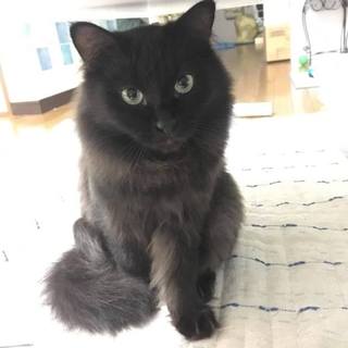 障害なんかに負けないもん！元気な女の子「な～ん」