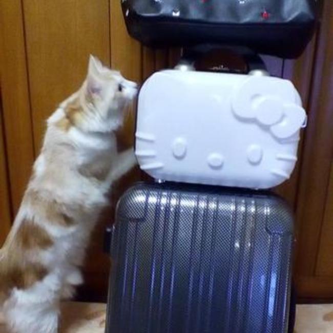 らちけいじのカバー写真