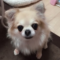 チロル