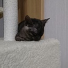  さん