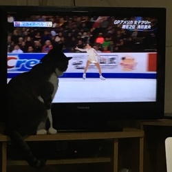 フギュア好き（≧∇≦）