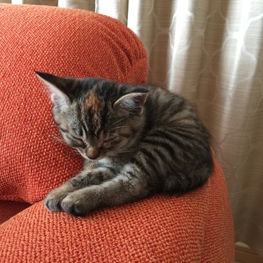 落ちそうですけど…