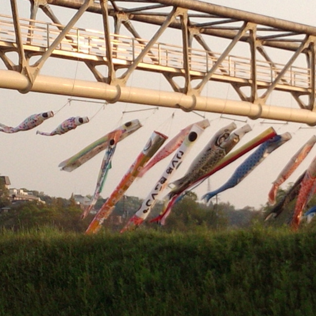 あしだんごのカバー写真