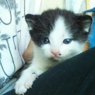 ホクロが魅力的な赤ちゃん