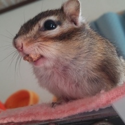 「食欲、全開！」サムネイル2