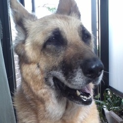 ありがとうラブさん　(^_-)-☆