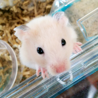 里親様決まりました(^^)♪