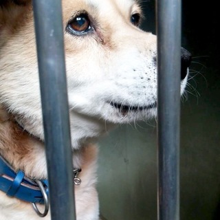 人馴れしている可愛い男の子