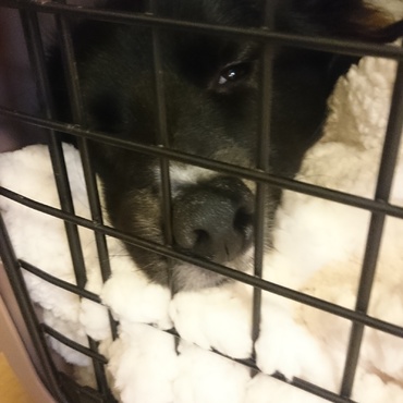 寝顔が起きてる！