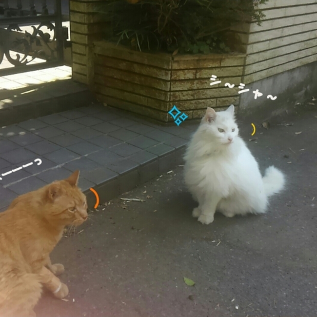 ひでぴ♪のカバー写真