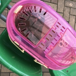 「病院GO!」サムネイル1