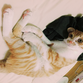 甘えん坊の男の子1歳