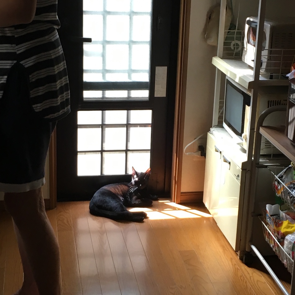 レオンのカバー写真