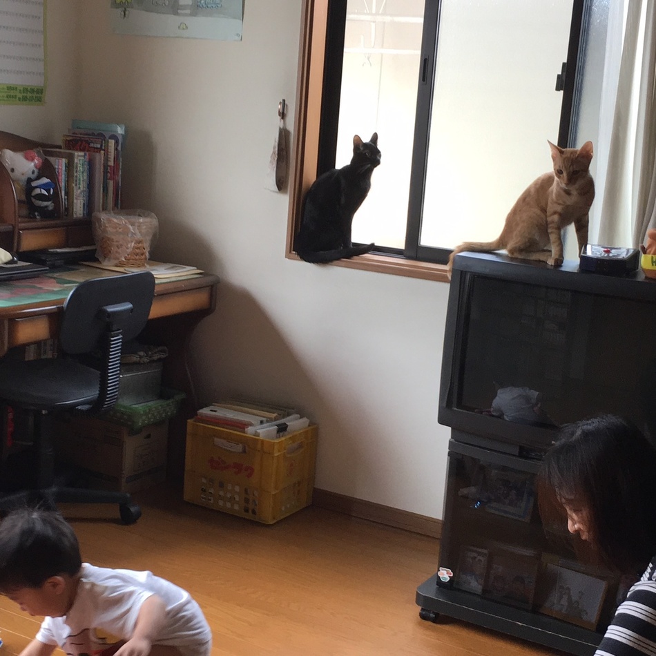 カノンのカバー写真