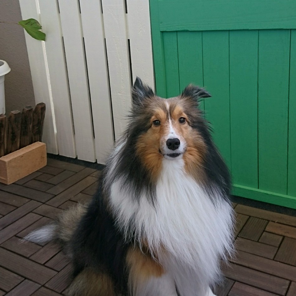 くるみのカバー写真