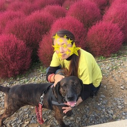 「日帰り旅行♪モコモコ編」サムネイル2