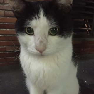 白黒1歳半のウシジマくん