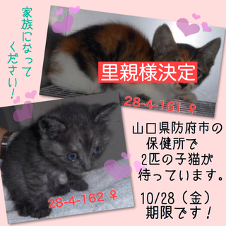 残念ながら亡くなってしまいました