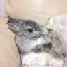 の写真