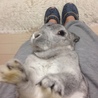 の写真