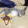 の写真