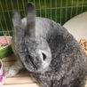 の写真