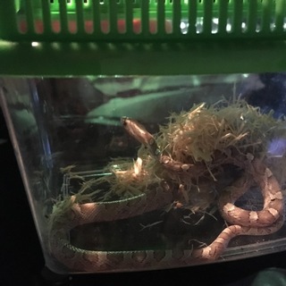 良いご縁がありました。ありがとうございました。