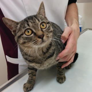 すりすり　ベタベタの女の仔です！！