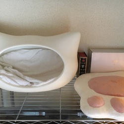 「病院結果(ㆁᴗㆁ)」サムネイル2