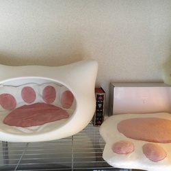 「病院結果(ㆁᴗㆁ)」サムネイル3