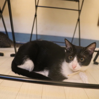 いつも笑わせてくれるアリちゃん