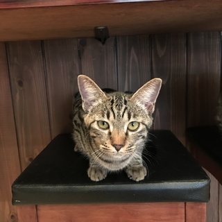 結(ゆう)ちゃん