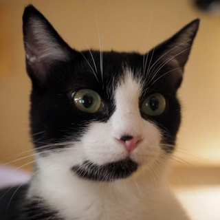 とっても性格のいい女の子☆寧々ちゃん