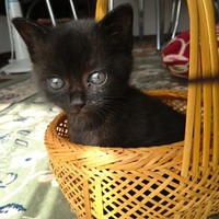 クー(空）ちゃん