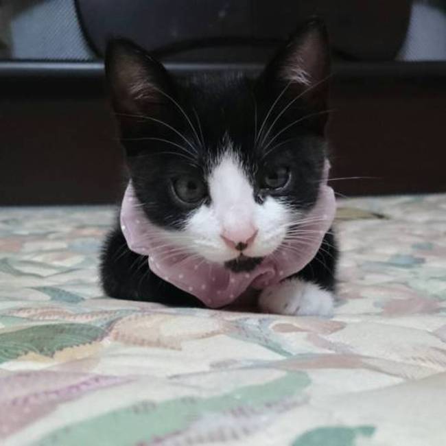 777@のカバー写真