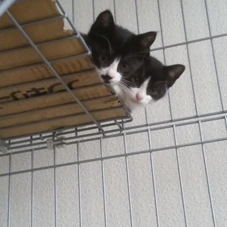 仲良し兄妹です(^-^)