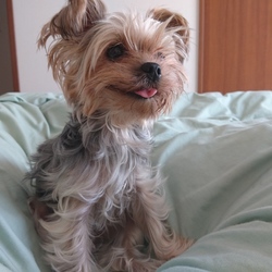 寝起きのへんな顔