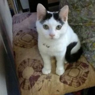 代理掲載・みずきちゃん